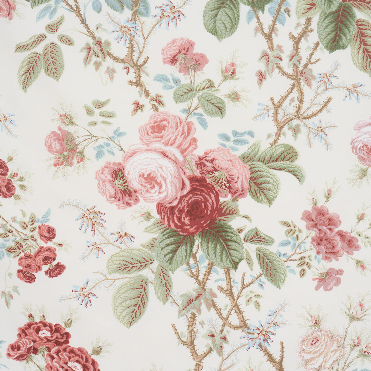 Purchase 183142 | She Walks In Beauty Chintz, Rose - Schumacher Fabric