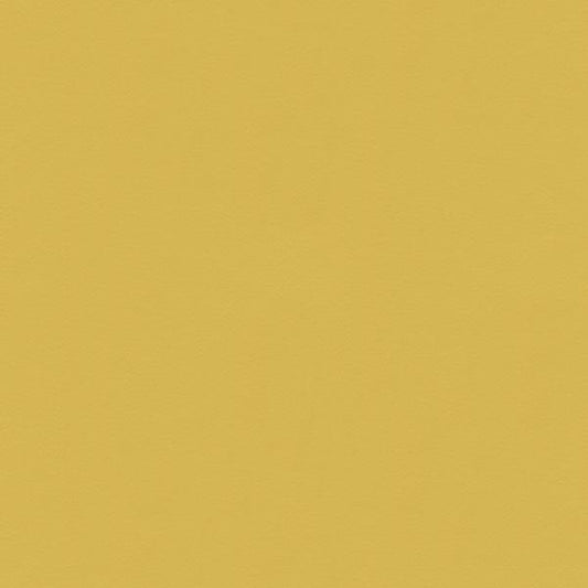Purchase 2014141.23 Pistachio Upholstery by Lee Jofa Fabric