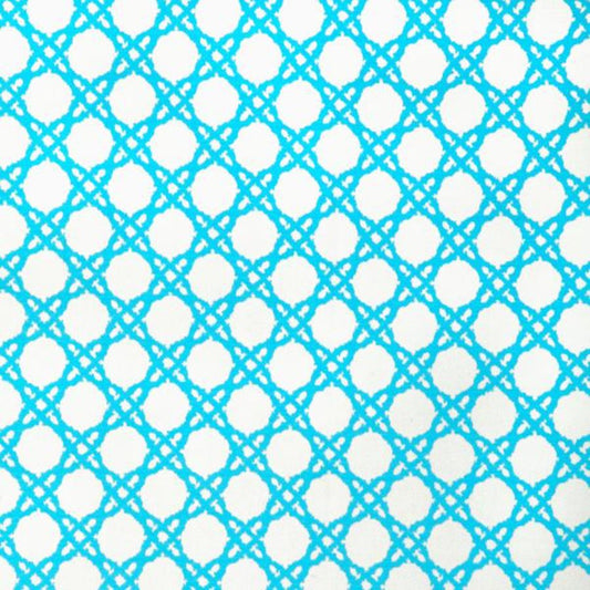 Purchase 2025117.13.0 Coastal Cane, Lilly Pulitzer Iii - Lee Jofa Fabric