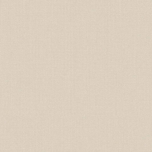 View 22610 Sargent Silk Taffeta Snow by Schumacher Fabric