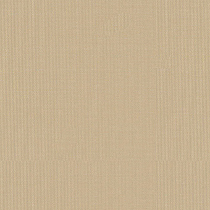 Order 22612 Sargent Silk Taffeta Vanilla by Schumacher Fabric