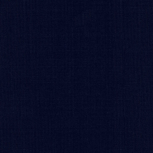 Order 22643 Sargent Silk Taffeta Navy by Schumacher Fabric