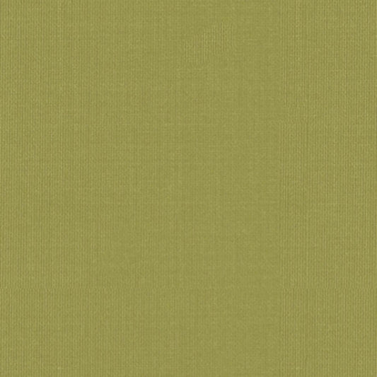 Purchase 22652 Sargent Silk Taffeta Linden by Schumacher Fabric
