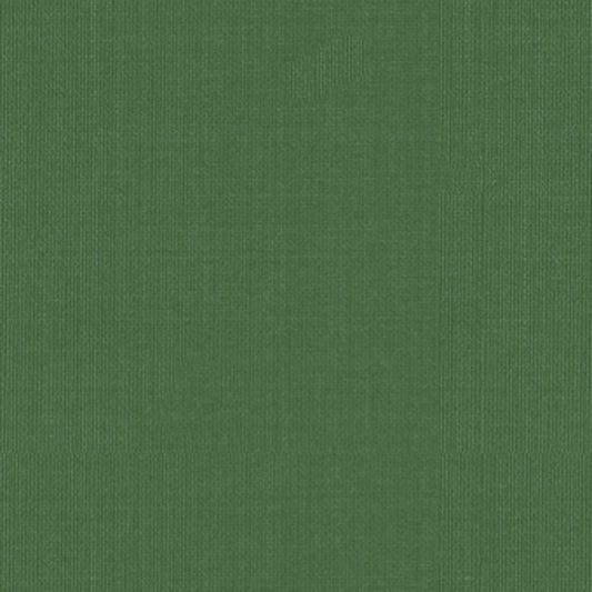 View 22654 Sargent Silk Taffeta Grass by Schumacher Fabric