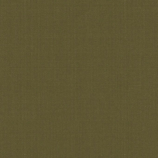 Find 22656 Sargent Silk Taffeta Olive by Schumacher Fabric