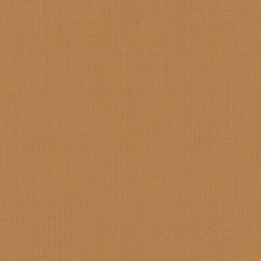 Purchase 22662 Sargent Silk Taffeta Honey by Schumacher Fabric