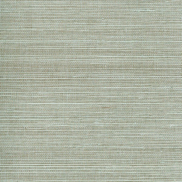 Purchase 2622-30226 Jade, Barbora Aqua Grasscloth by Kenneth James Wallpaper