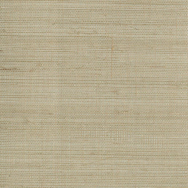 Purchase 2622-30234 Jade, Ruslan Grey Grasscloth by Kenneth James Wallpaper