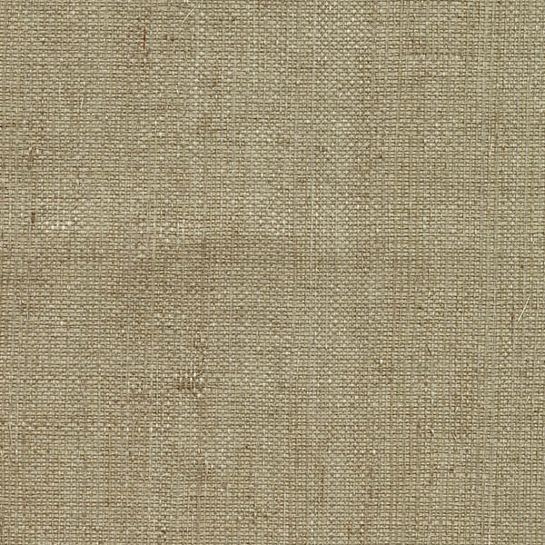 Purchase 2622-65411 Jade, Ruslan Taupe Grasscloth by Kenneth James Wallpaper