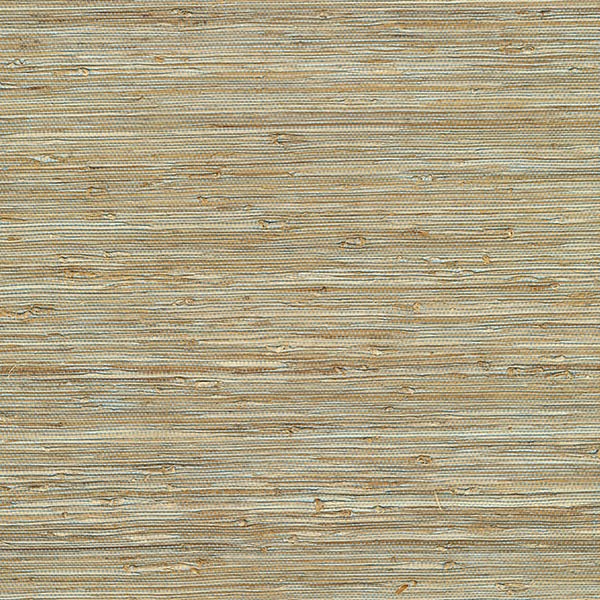 Purchase 2622-65437 Jade, Patryk Aqua Grasscloth by Kenneth James Wallpaper