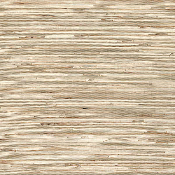 Purchase 2622-65621 Jade, Daria Neutral Grasscloth by Kenneth James Wallpaper