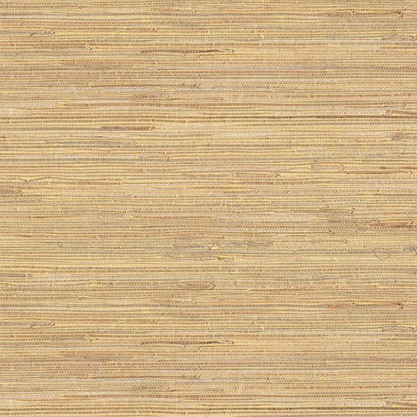 Purchase 2622-65622 Jade, Daria Beige Grasscloth by Kenneth James Wallpaper