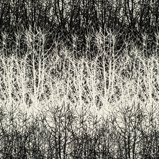 Find 2644021 Birches Black by Schumacher Fabric