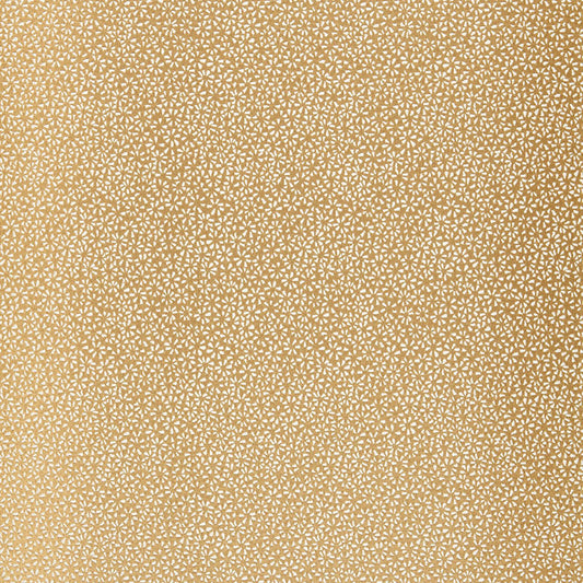Shop 2644521 Kyousha Silk Champagne by Schumacher Fabric