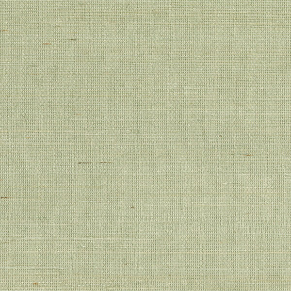 Purchase 2693-65416 Zen, Popun Light Green Grasscloth by Kenneth James Wallpaper