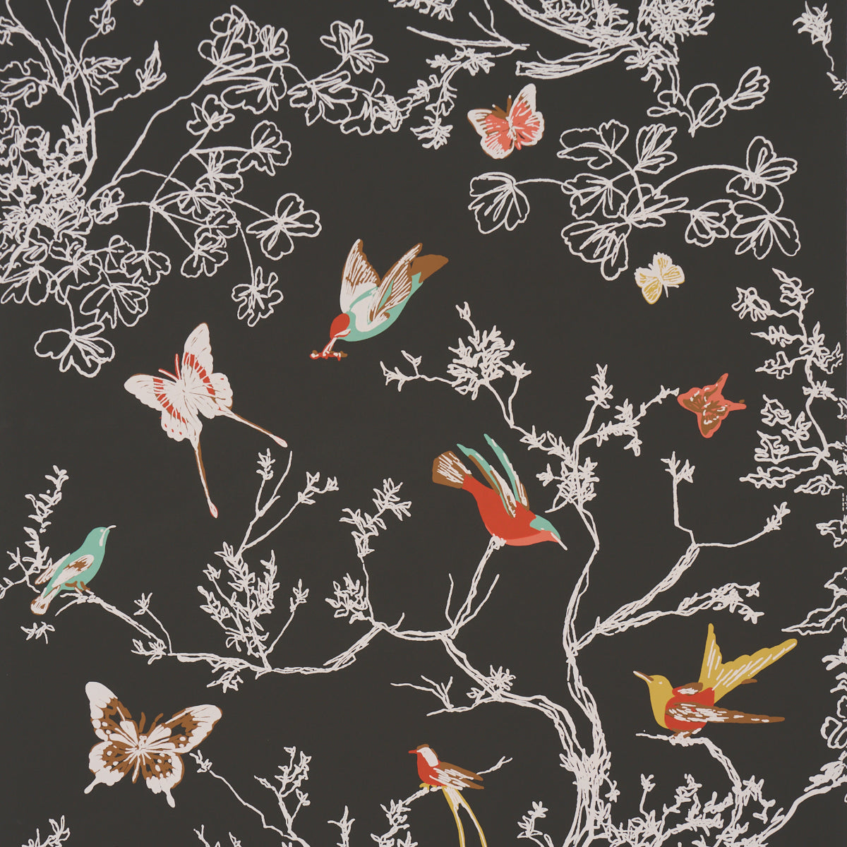 Purchase 2704422 | Birds & Butterflies, Graphite - Schumacher Wallpaper