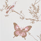 Purchase 2704423 | Birds & Butterflies, Spring - Schumacher Wallpaper