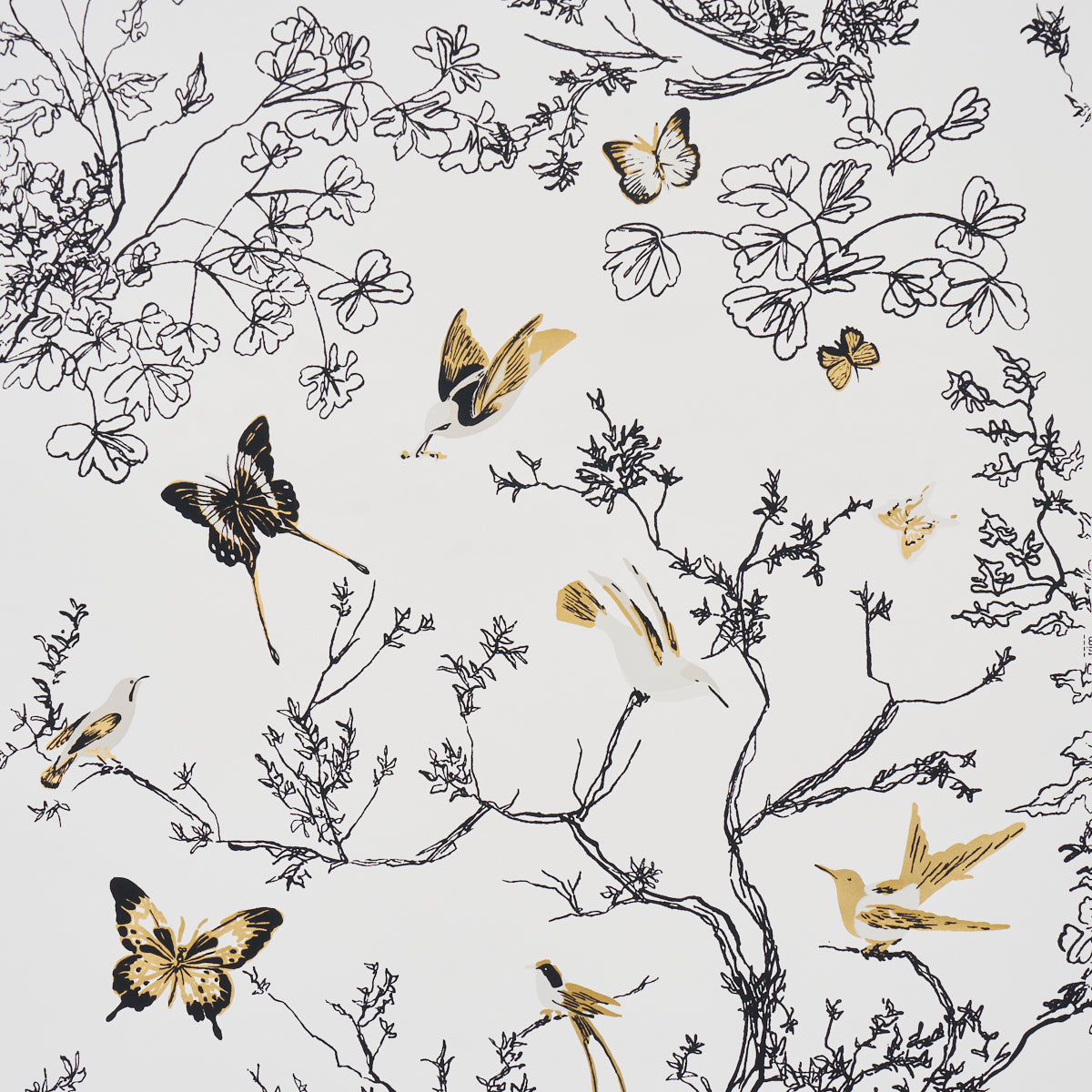 Purchase 2704424 | Birds & Butterflies, Neutral - Schumacher Wallpaper