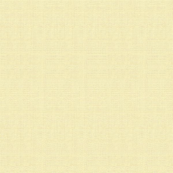 Sample 34643.1011.0 Enjoy Ecru White Multipurpose Solids Plain Cloth Fabric by Kravet Design