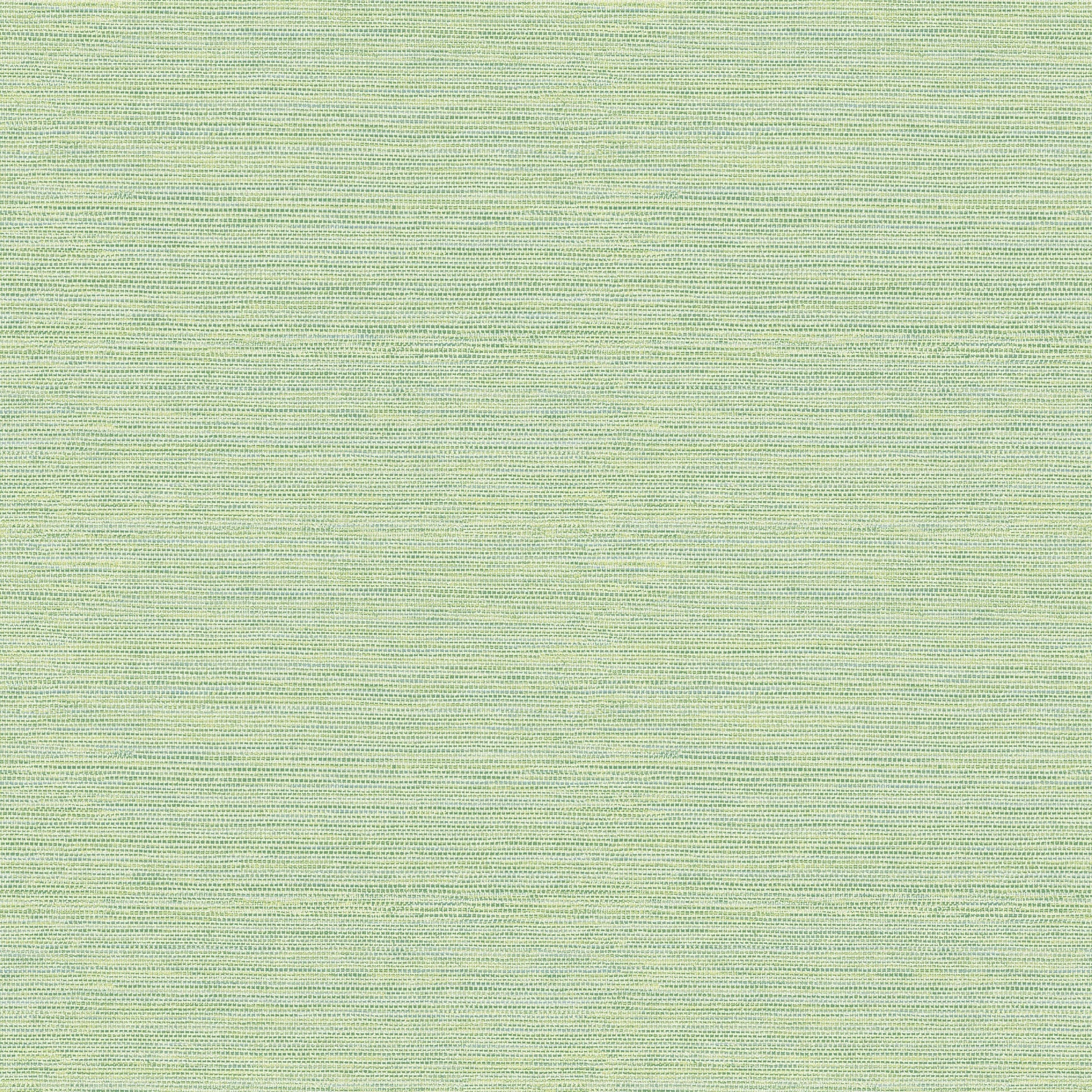 Purchase 2767-24284 Bluestem Green Grasscloth Techniques and Finishes III by Brewster