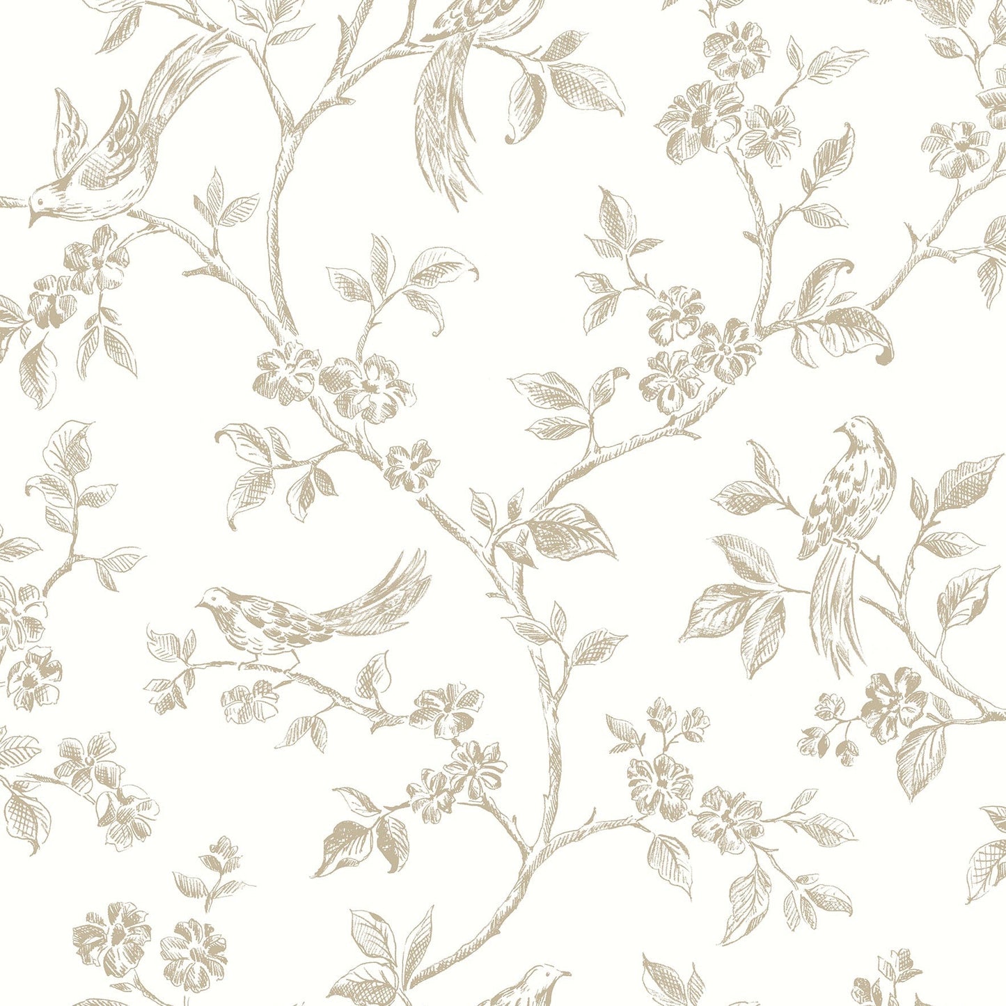 Select 2813-24974 Kitchen Neutrals Trails Wallpaper by Advantage