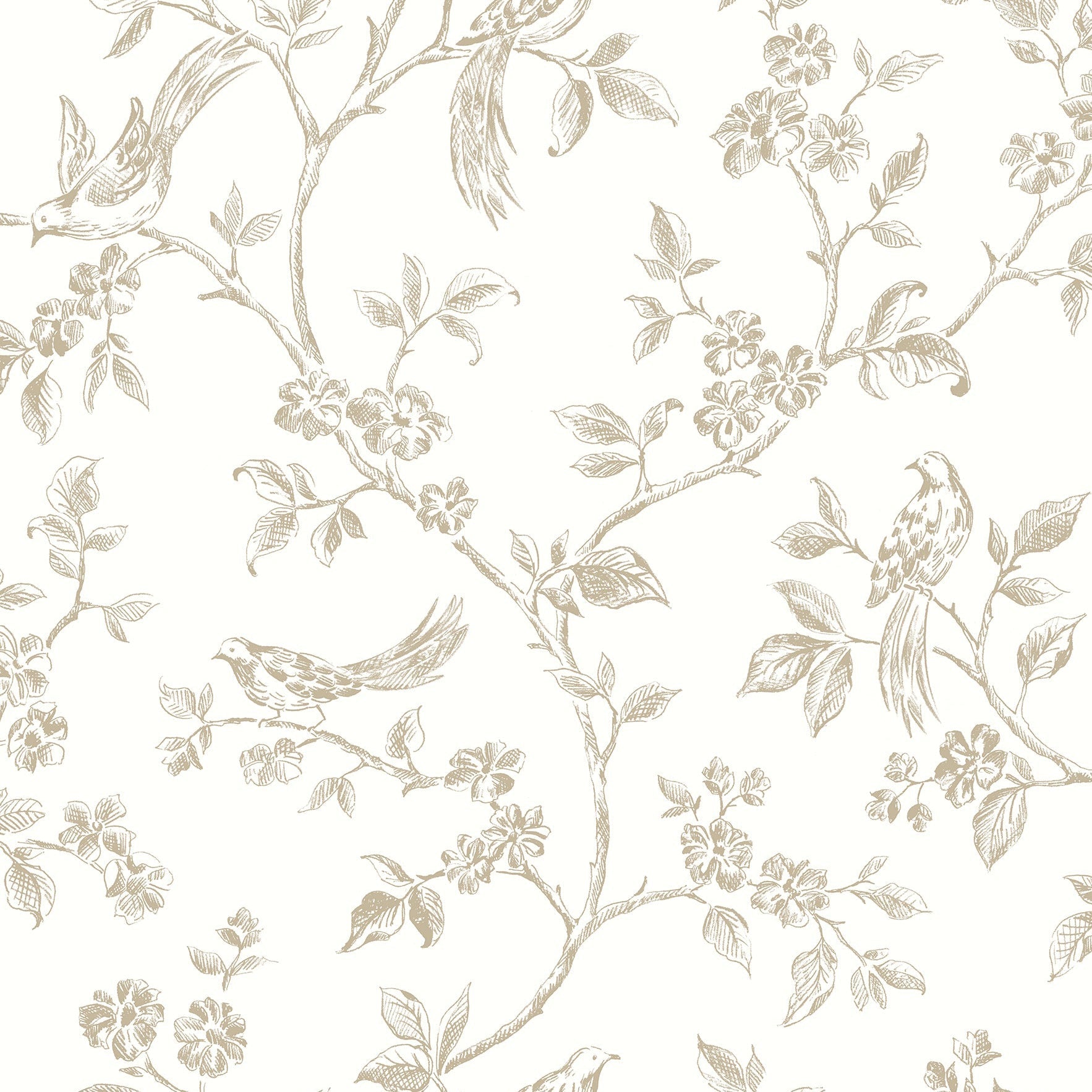 Select 2813-24974 Kitchen Neutrals Trails Wallpaper by Advantage
