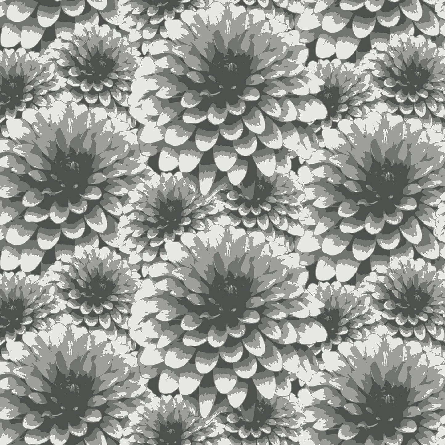 Purchase 2861-87518 Equinox, Umbra Charcoal Floral by A-Street Prints Wallpaper