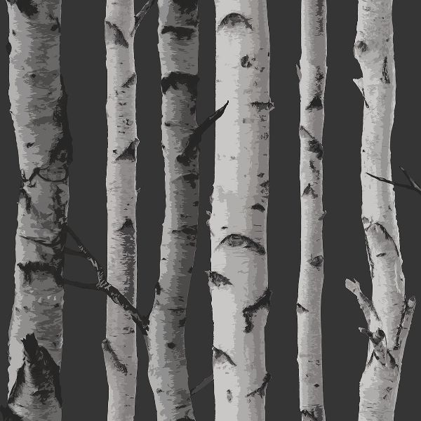 Purchase 2900-31052 Brewster Wallpaper, Distinctive Black Birch Tree - Medley