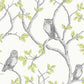 Purchase 2900-40637 Brewster Wallpaper, Linden Green Owl - Medley