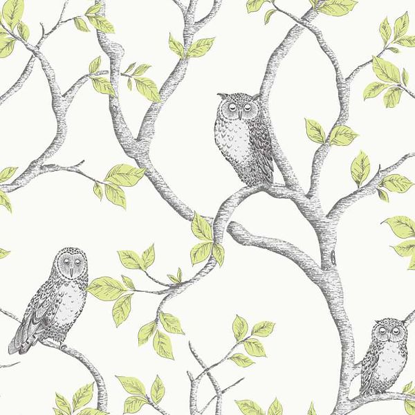 Purchase 2900-40637 Brewster Wallpaper, Linden Green Owl - Medley