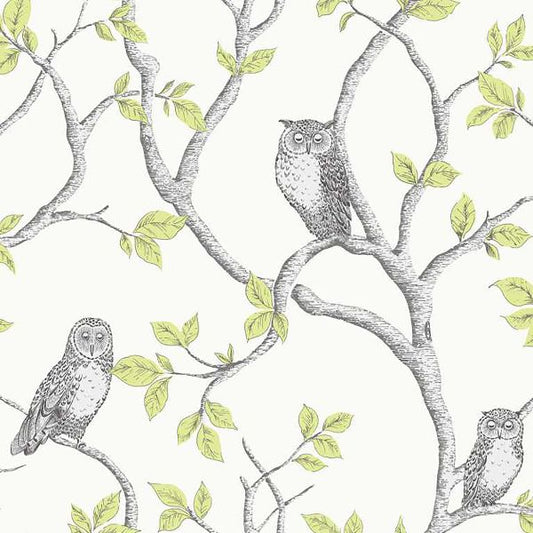 Purchase 2900-40637 Brewster Wallpaper, Linden Green Owl - Medley
