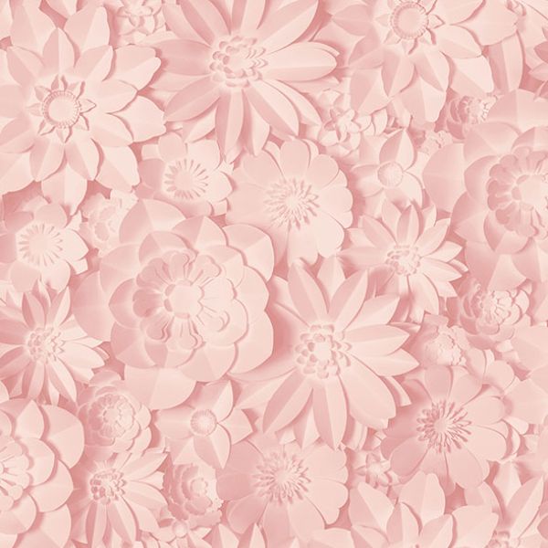 Purchase 2900-42555 Brewster Wallpaper, Dacre Pink Floral - Medley