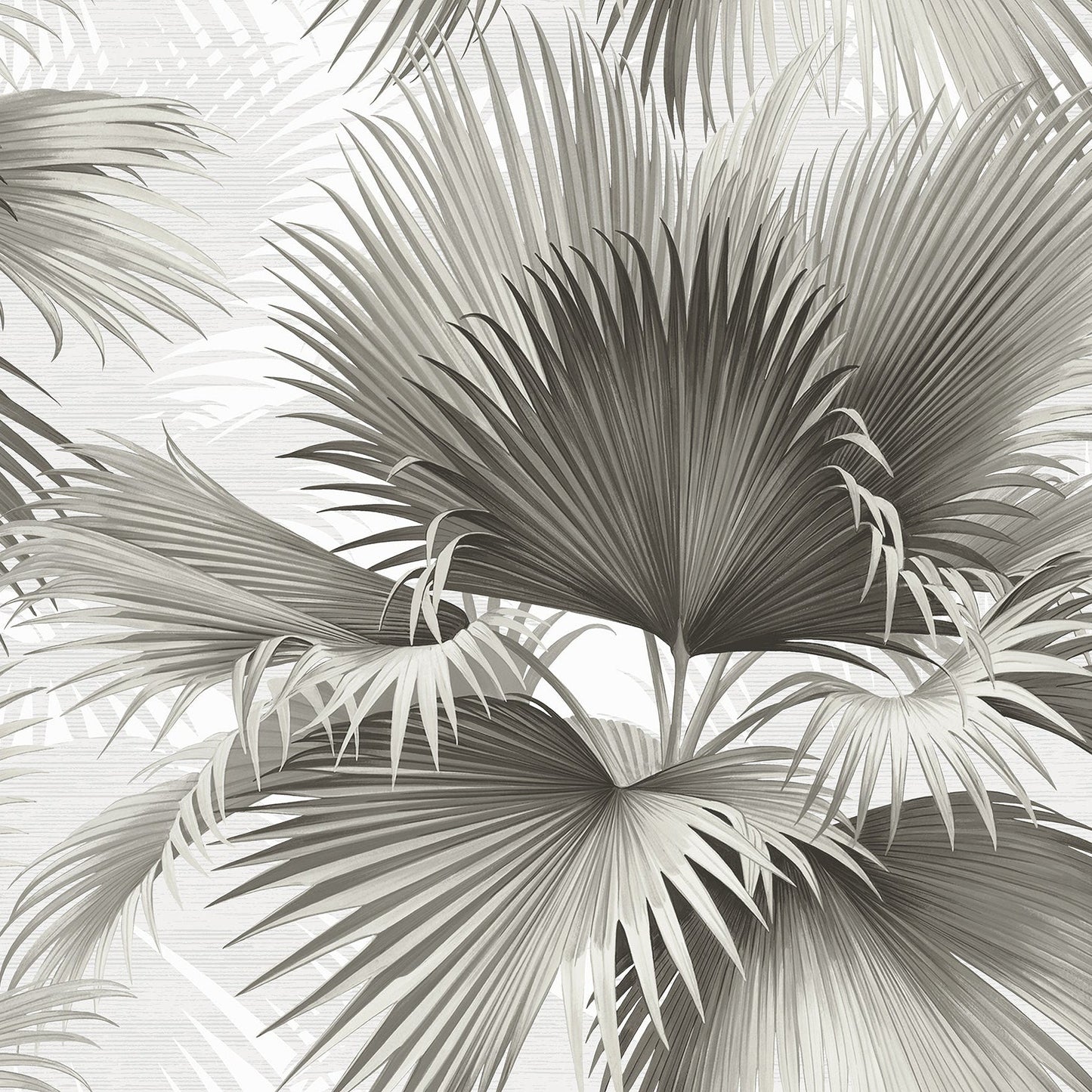 Purchase 2927-40100 Newport Summer Palm Charcoal Tropical by A-Street Prints Wallpaper