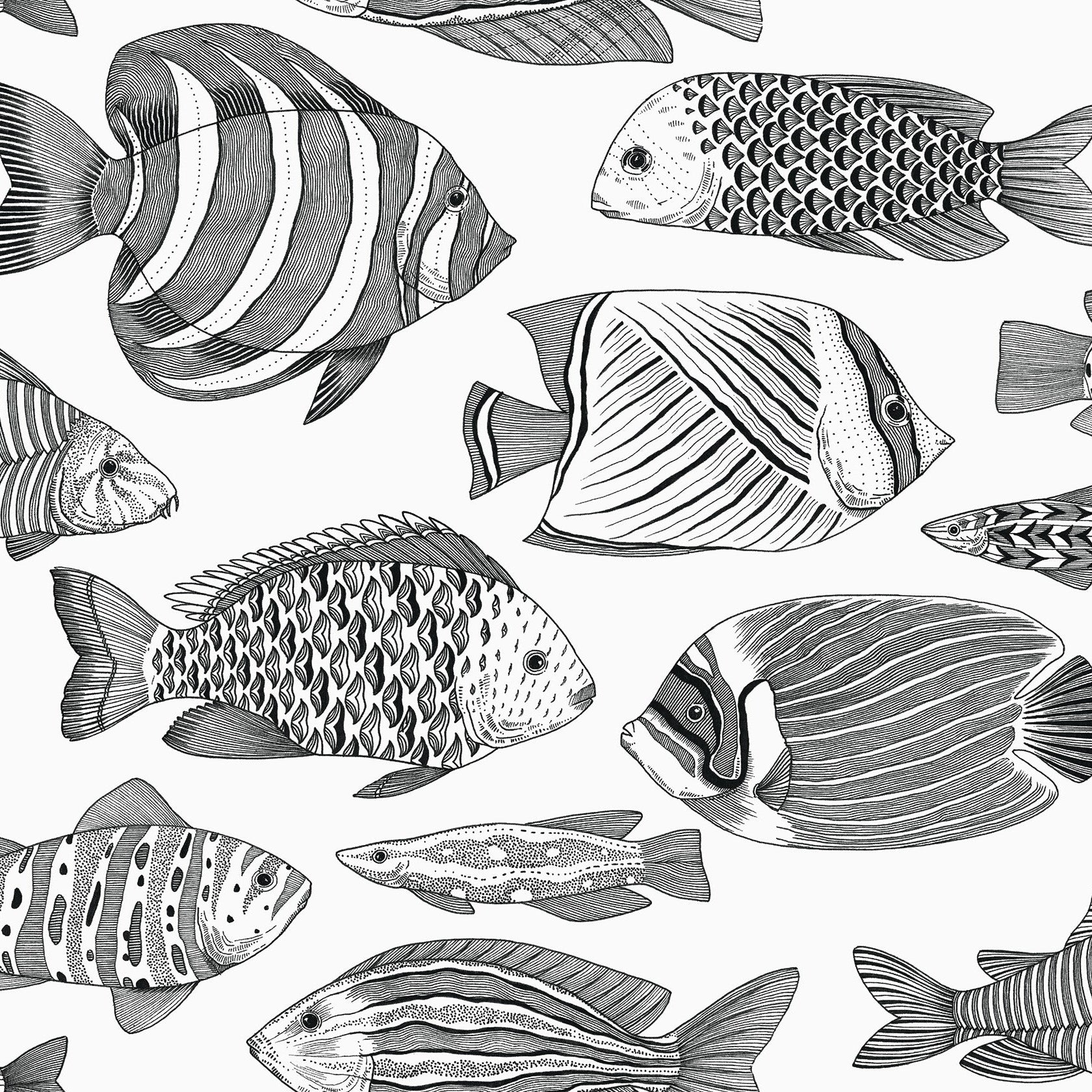 Purchase 2927-80200 Newport Wailea Black Tropical School by A-Street Prints Wallpaper