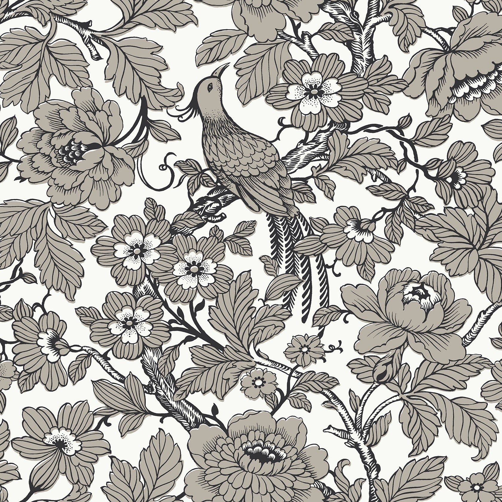 Purchase 2927-80410 Newport Beaufort Black Peony Chinoiserie by A-Street Prints Wallpaper