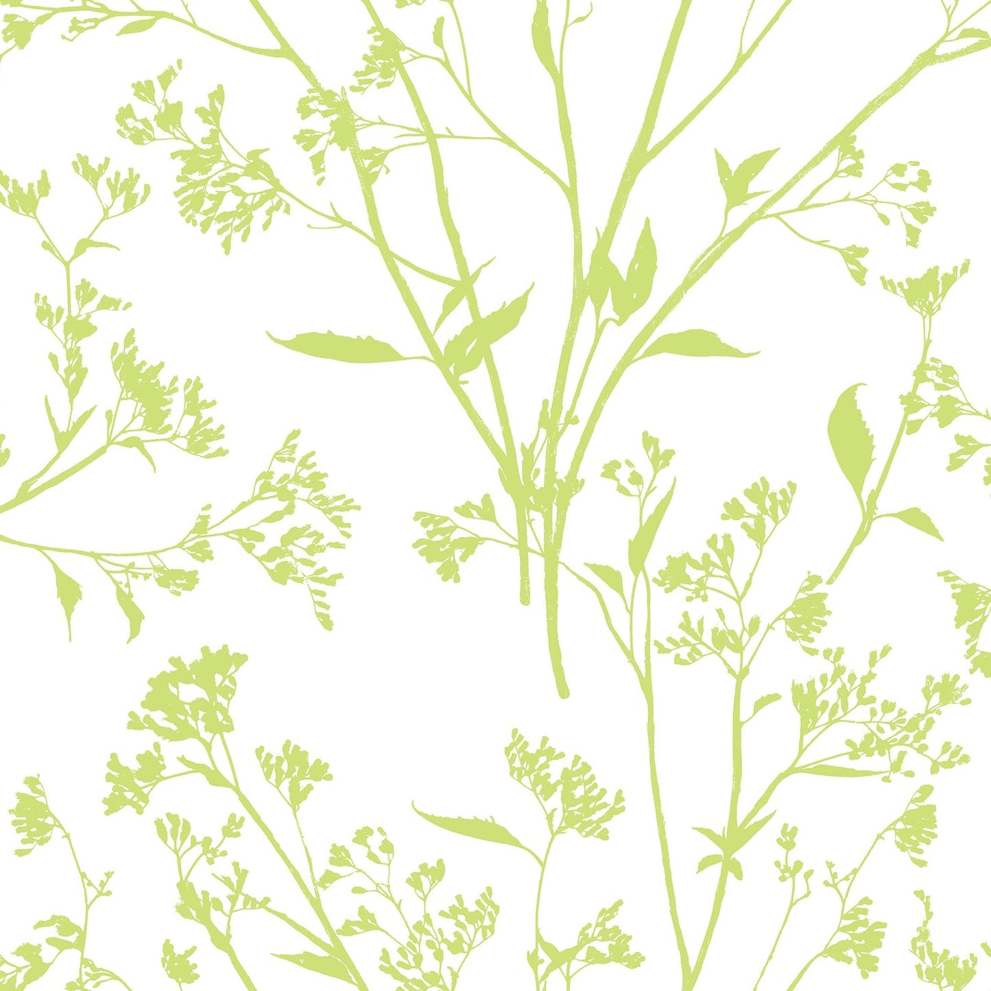 Purchase 2927-80704 Newport Southport Chartreuse Delicate Branches by A-Street Prints Wallpaper