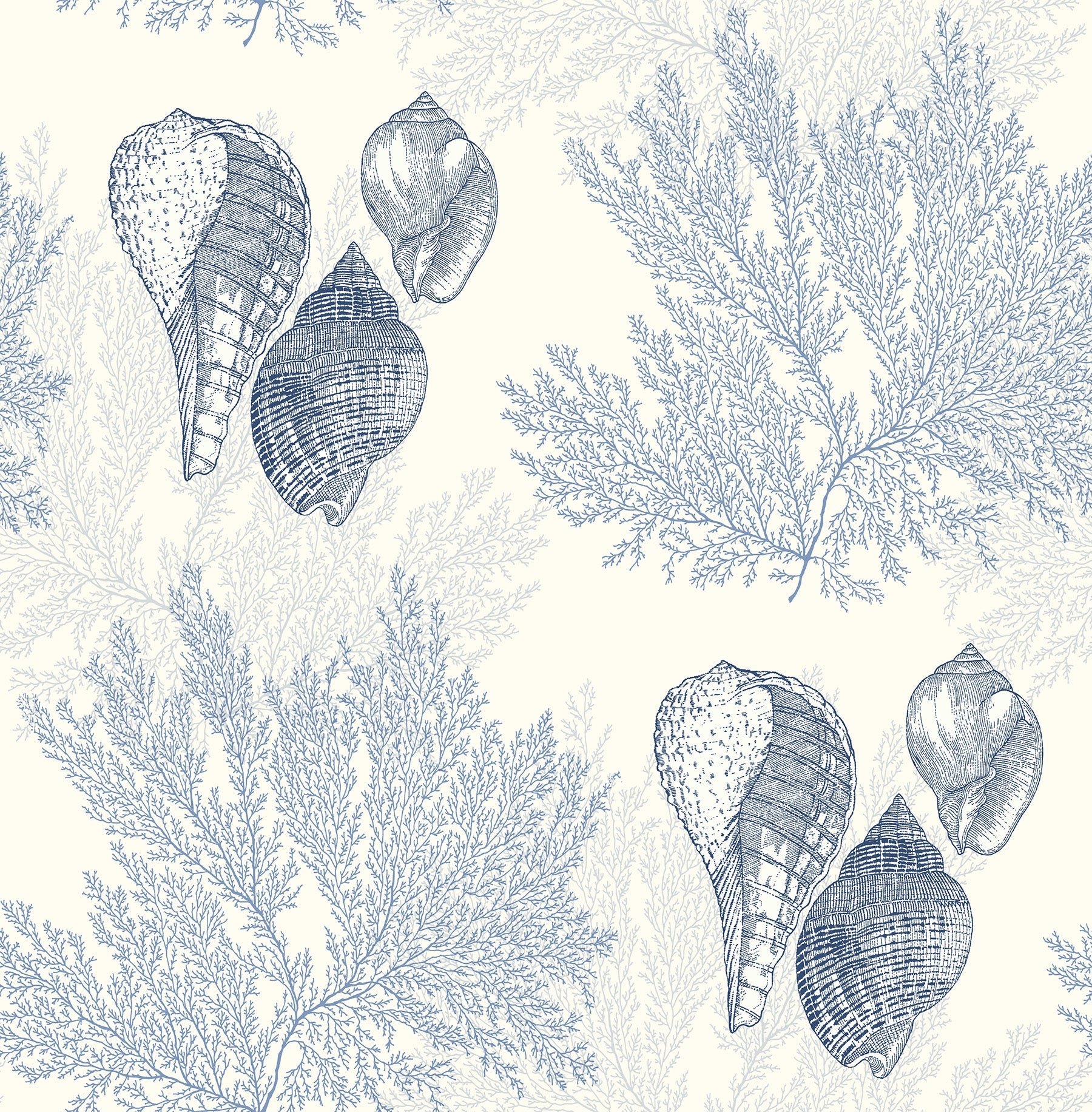 Purchase 2927-81202 Newport Nauset Blue Seashell Shores by A-Street Prints Wallpaper