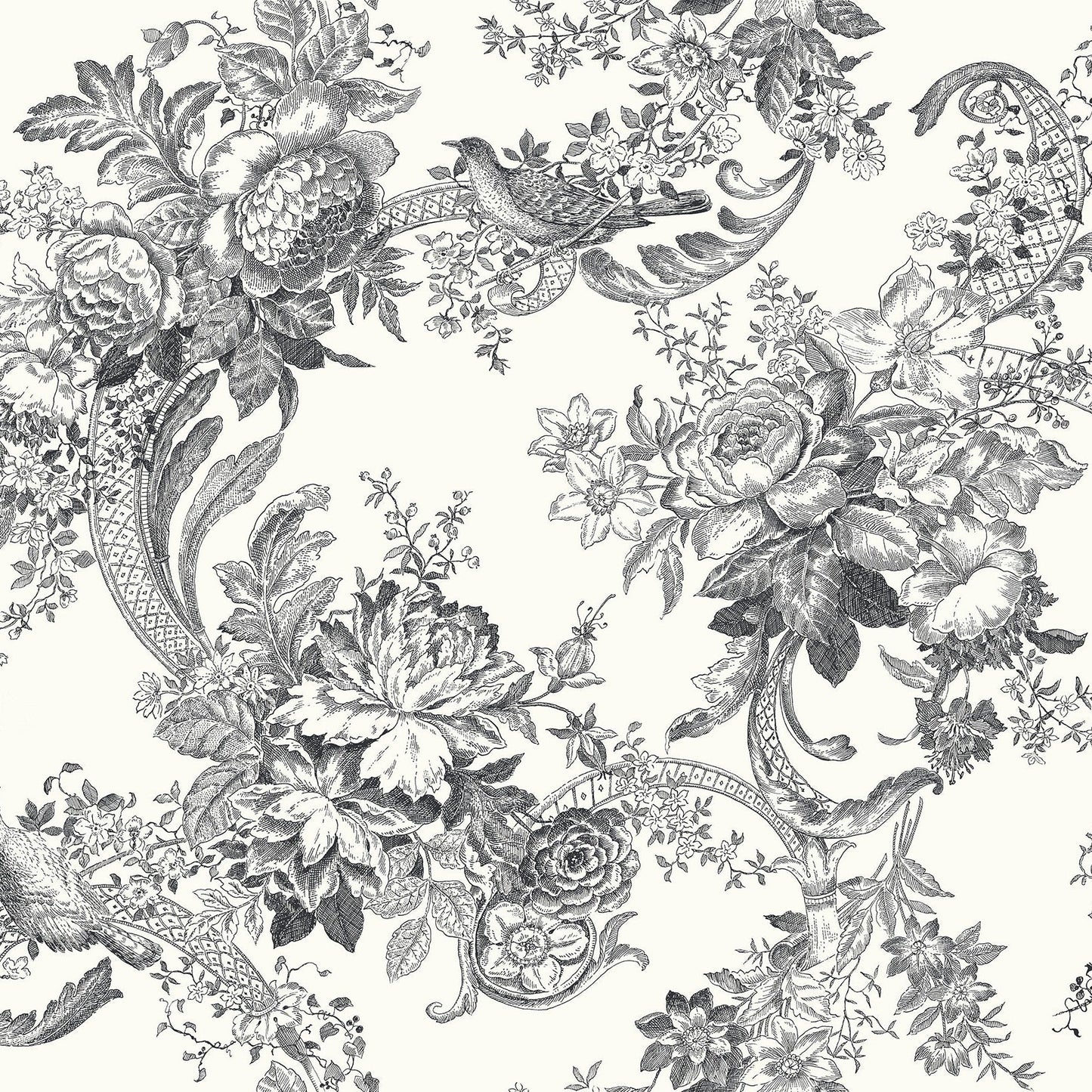Purchase 2927-81600 Newport Carmel Black Baroque Florals by A-Street Prints Wallpaper