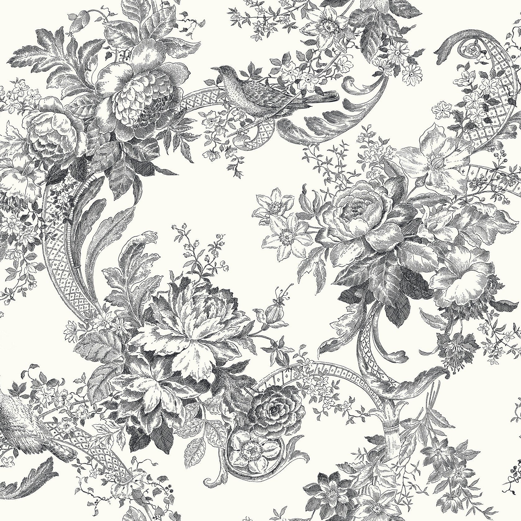 Purchase 2927-81600 Newport Carmel Black Baroque Florals by A-Street Prints Wallpaper