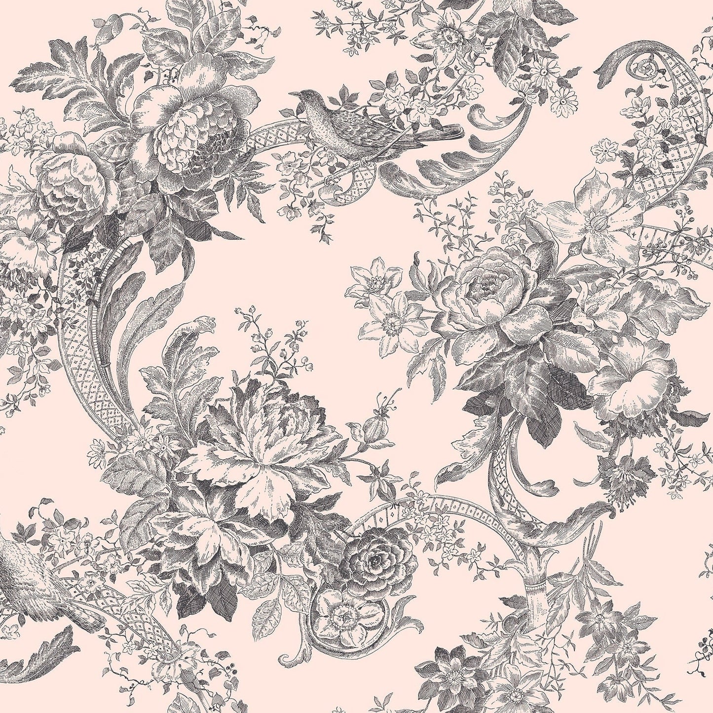 Purchase 2927-81601 Newport Carmel Blush Baroque Florals by A-Street Prints Wallpaper