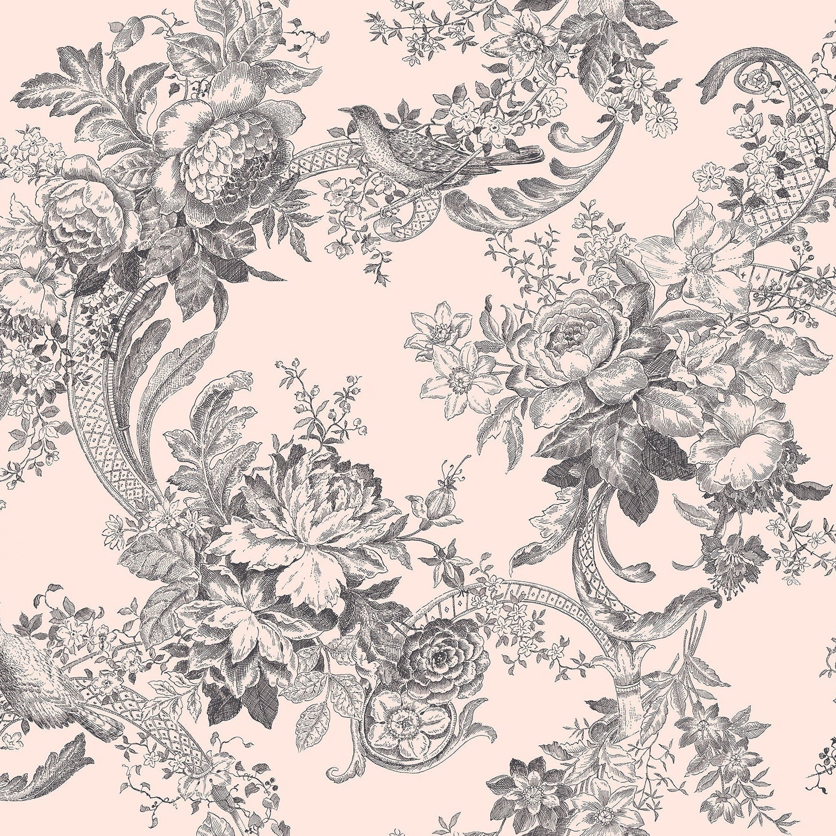 Purchase 2927-81601 Newport Carmel Blush Baroque Florals by A-Street Prints Wallpaper