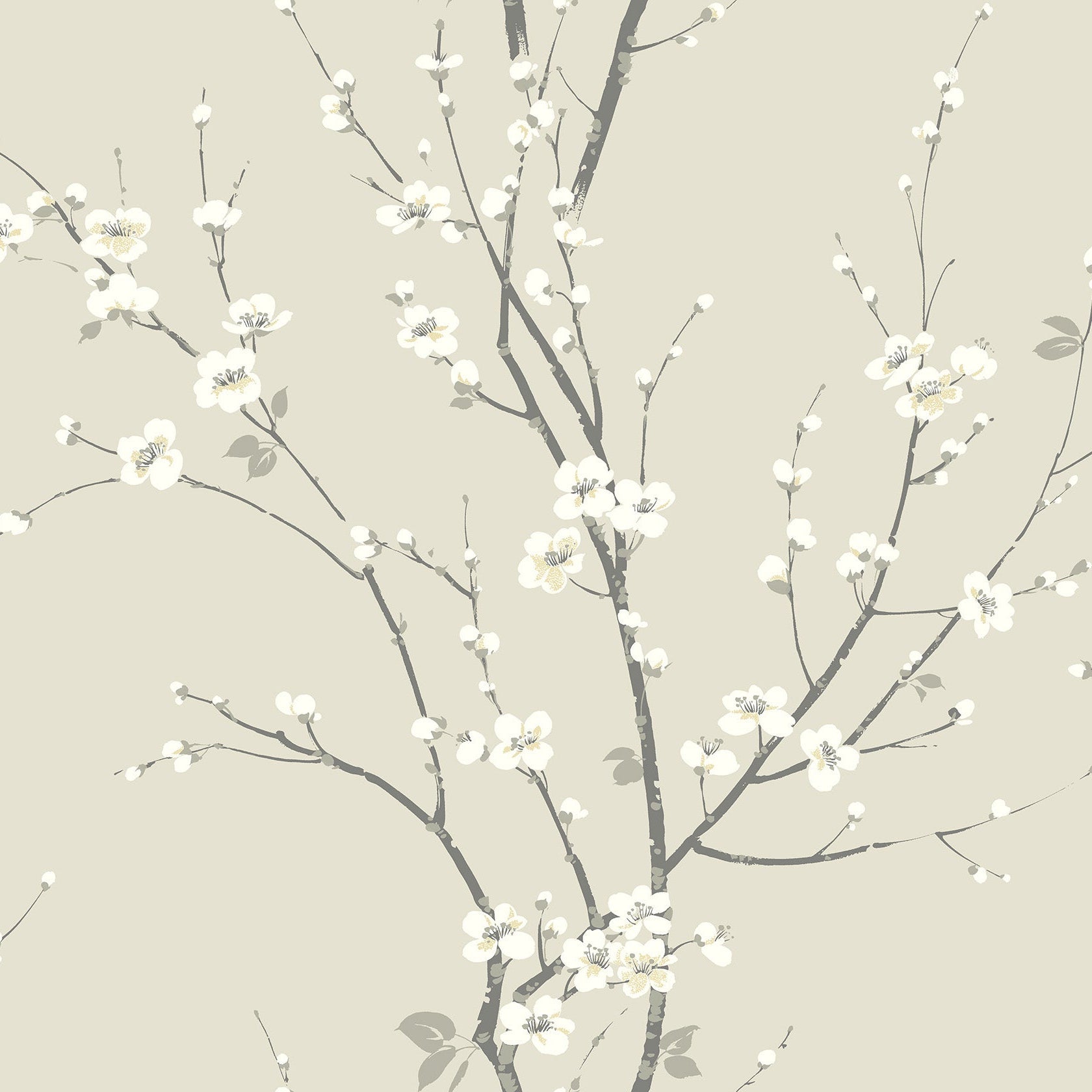 Purchase 2927-81805 Newport Monterey Ivory Floral Branch by A-Street Prints Wallpaper