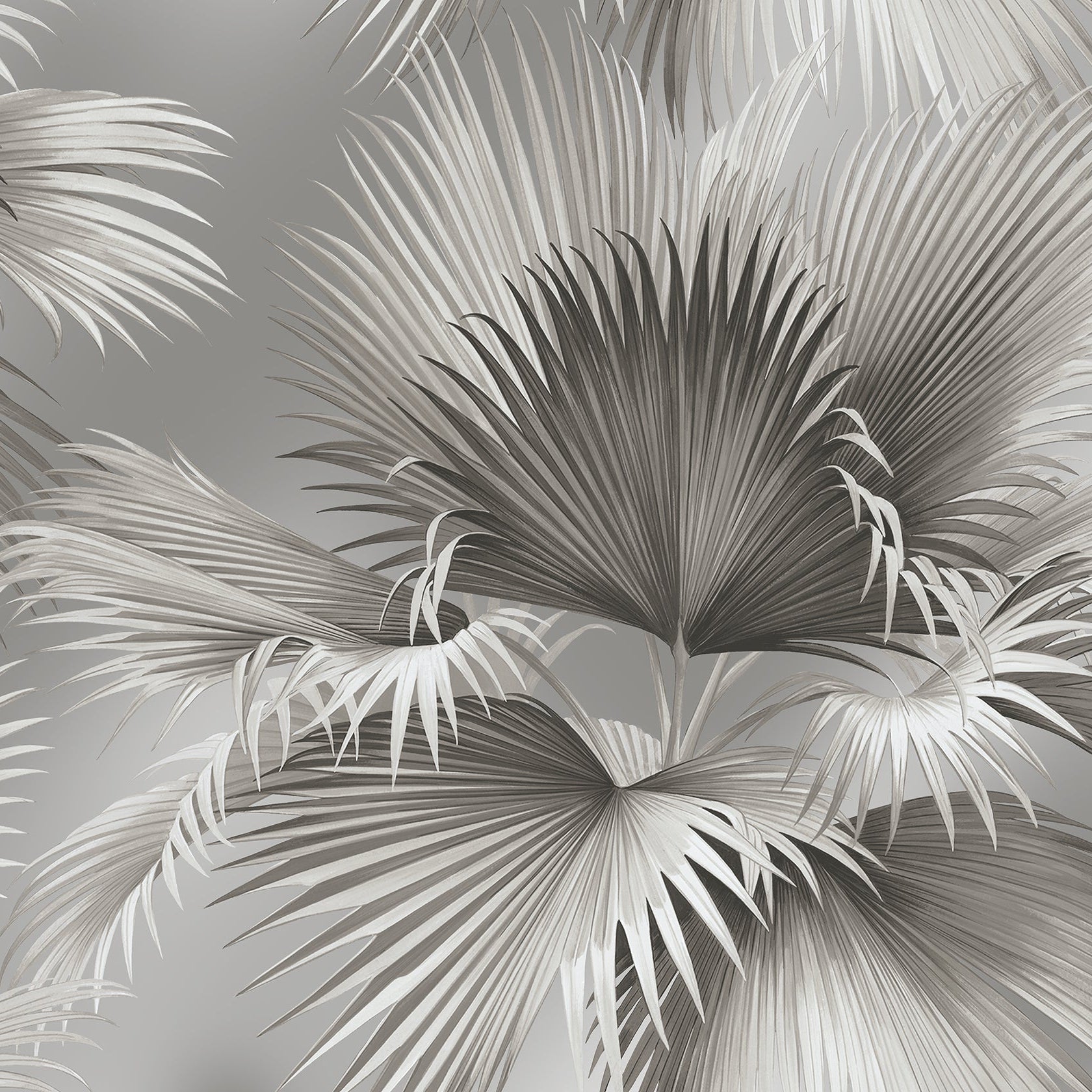 Purchase 2927-81908 Newport Summer Palm Platinum Tropical by A-Street Prints Wallpaper