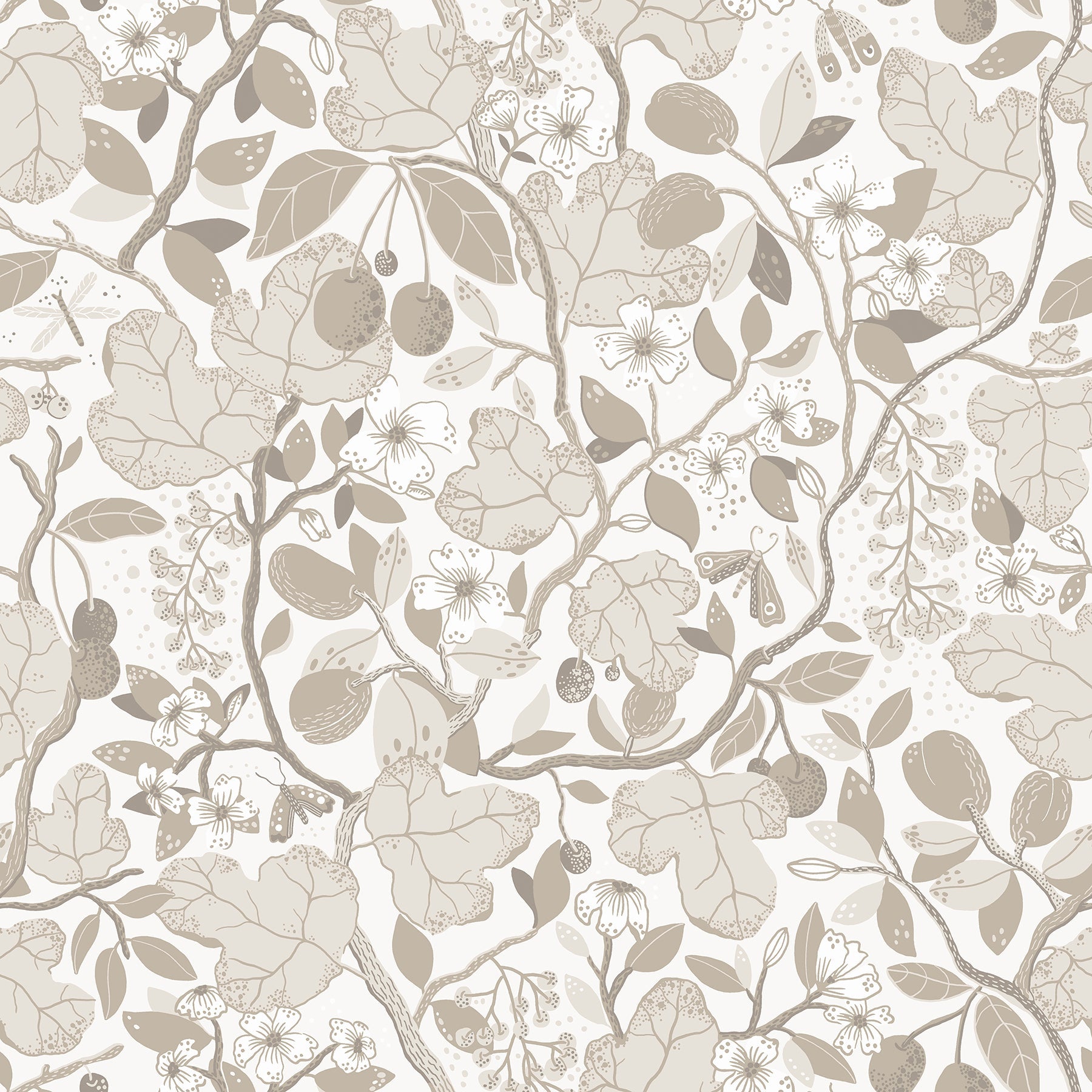 Purchase 2932-65120 Lina, Ewald Beige Garden Vines  by A-Street Prints Wallpaper