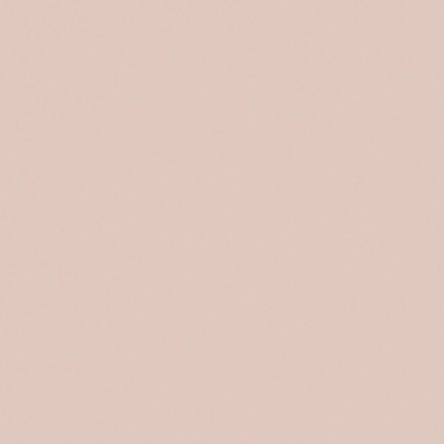 Purchase Maxwell Fabric - Zaitun, # 529 Cameo