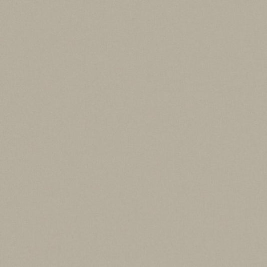 Purchase Maxwell Fabric - Zaitun, # 549 Cement