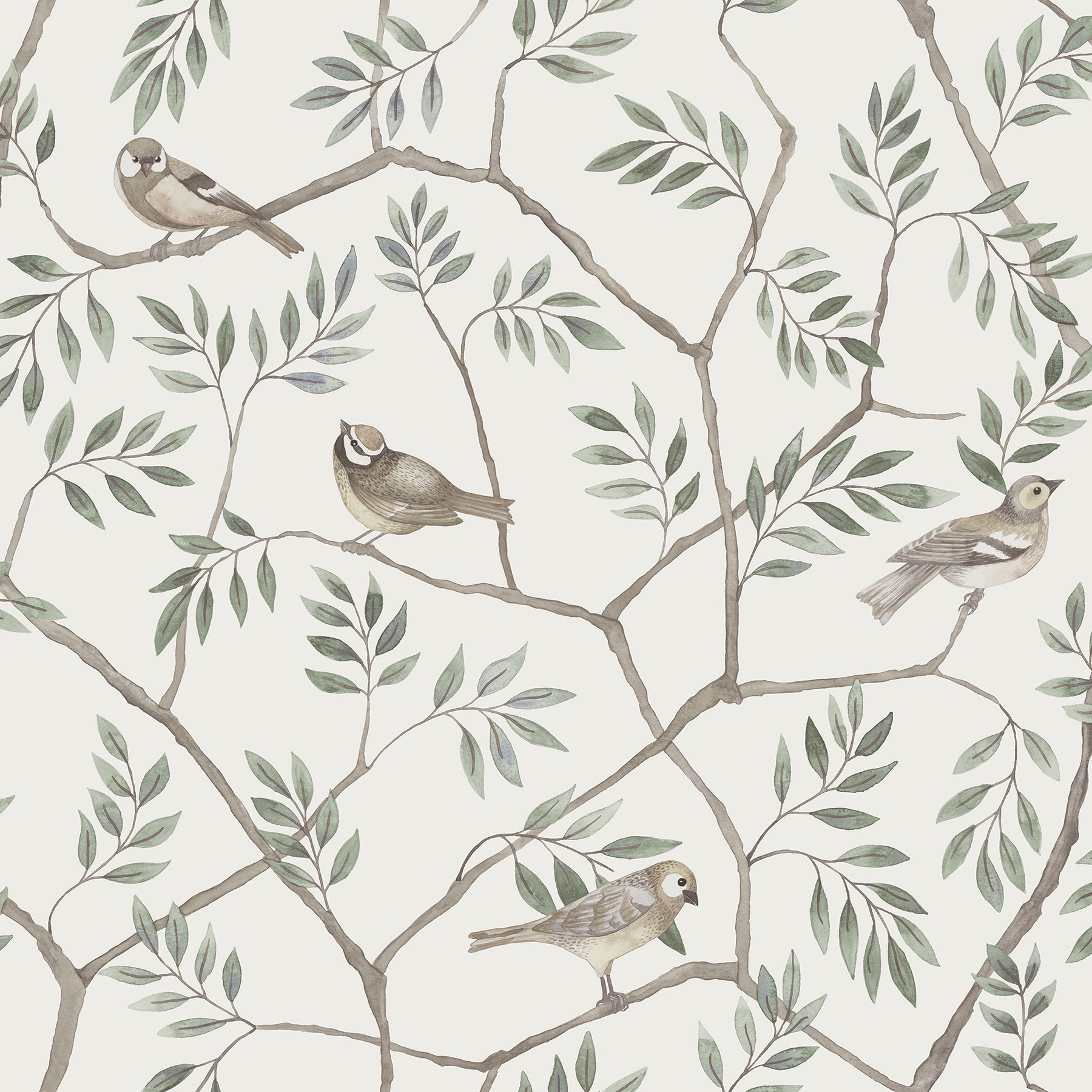 Purchase 2948-27015 Spring, Crossbill Off-White Branches by A-Street Prints Wallpaper