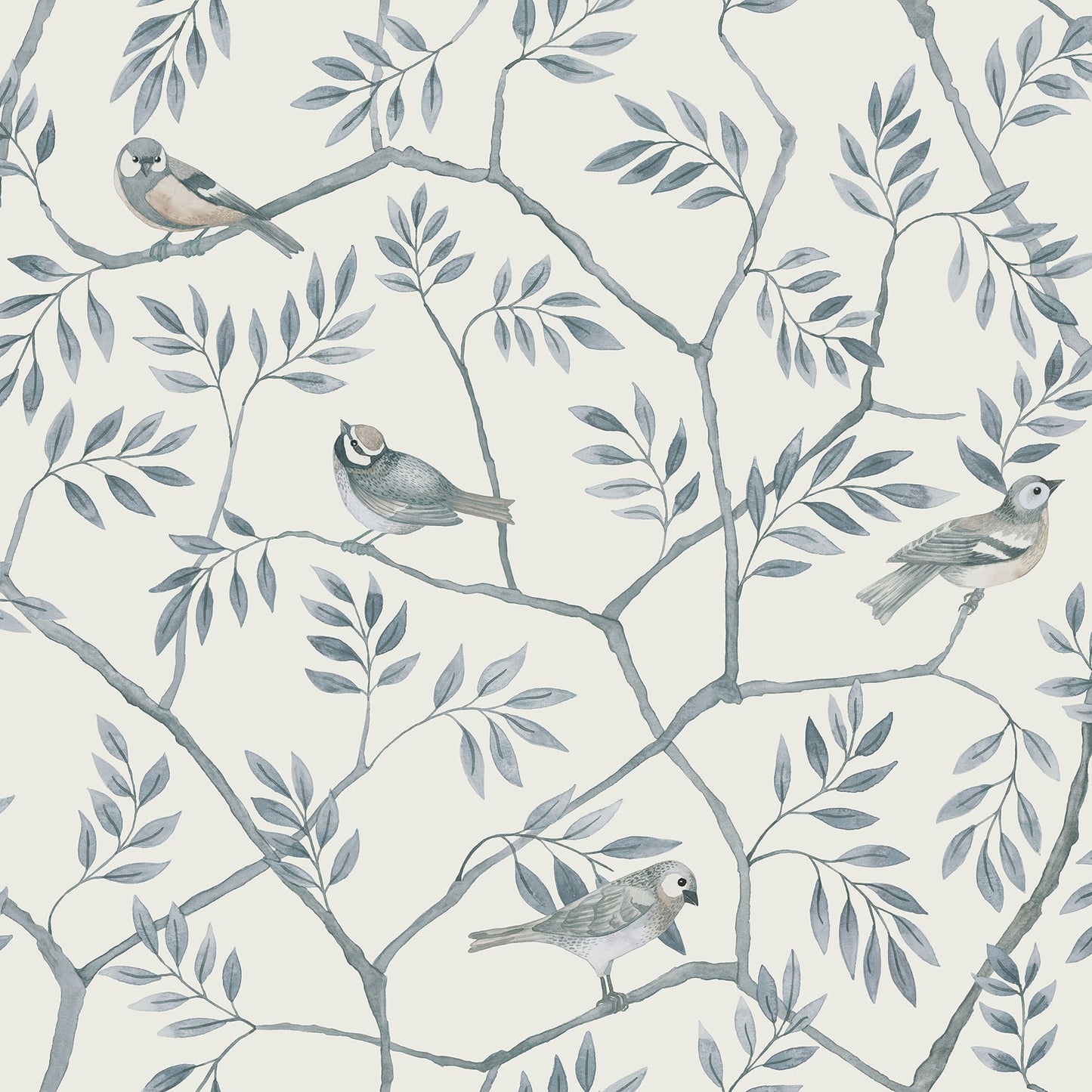 Purchase 2948-27016 Spring, Crossbill Light Blue Branches by A-Street Prints Wallpaper