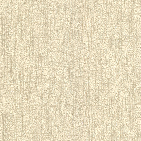 2984-2212 Warner XI Naturals & Grasscloths, Nagano Taupe Distressed Texture Wallpaper Taupe - Warner