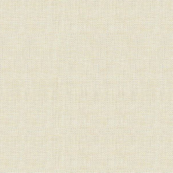 Sample 30299.111 Kravet Basics Fabric